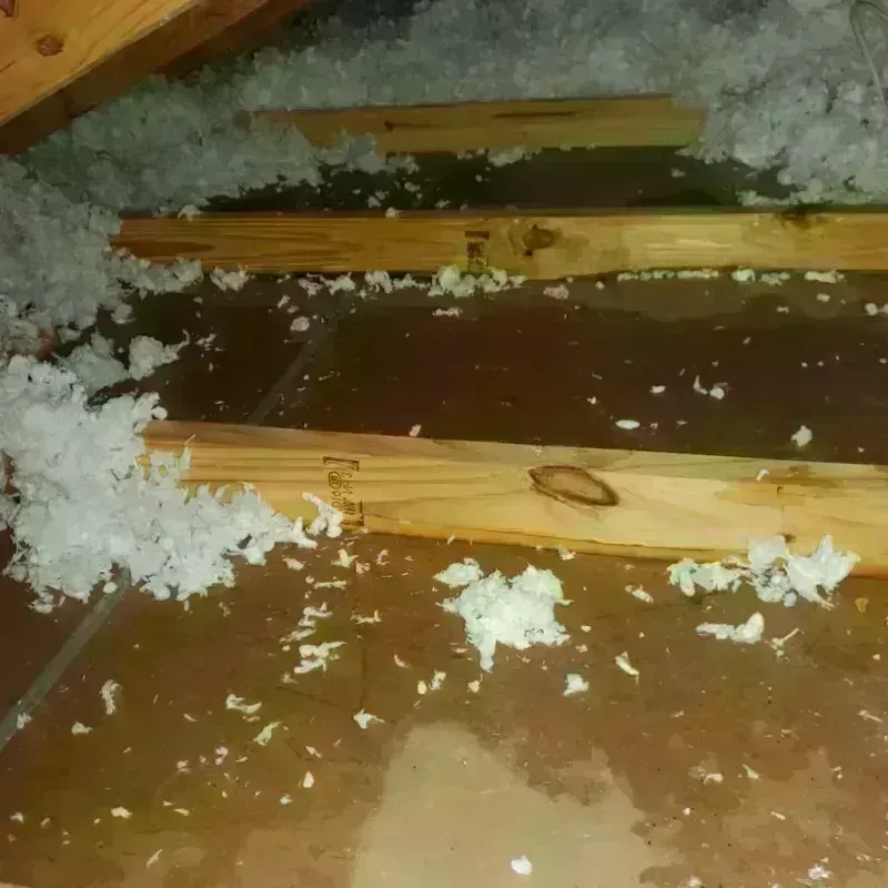 Attic Water Damage in South Amherst, OH