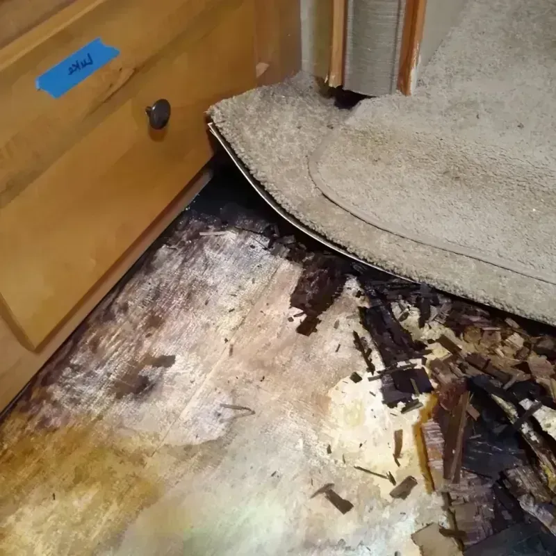 Wood Floor Water Damage in South Amherst, OH